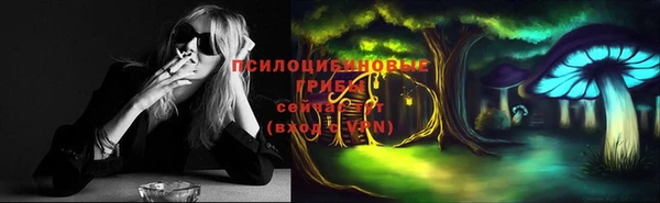 крисы Алзамай