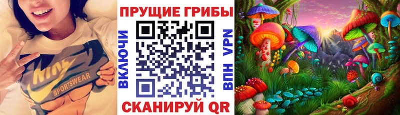 Галлюциногенные грибы GOLDEN TEACHER  OMG как войти  Петушки 